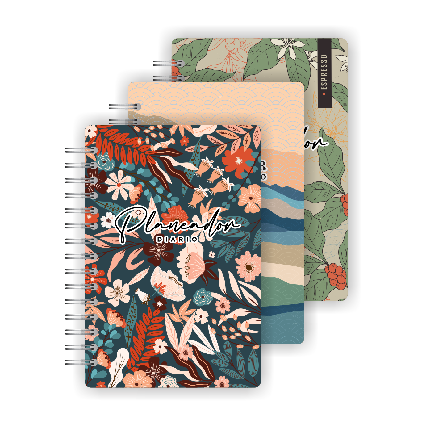 Combo x3 Planeador diario Color